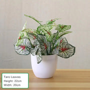 Plante succulente artificielle Arlazztup™