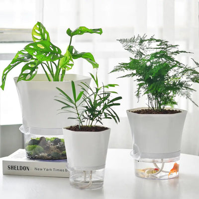 Automatic Water-Absorbing Flowerpot | Self-Watering Planter for Thriving & Healthy Plants