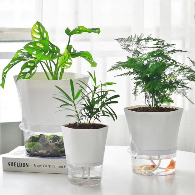 Automatic Water-Absorbing Flowerpot | Self-Watering Planter for Thriving & Healthy Plants