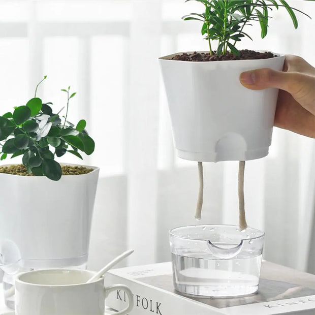 Automatic Water-Absorbing Flowerpot | Self-Watering Planter for Thriving & Healthy Plants