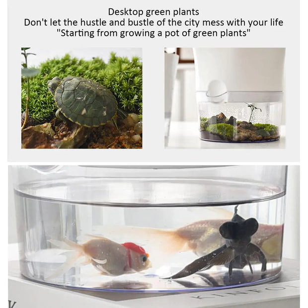 Automatic Water-Absorbing Flowerpot | Self-Watering Planter for Thriving & Healthy Plants